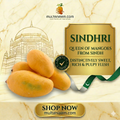 Sindhri (سندھڑی)