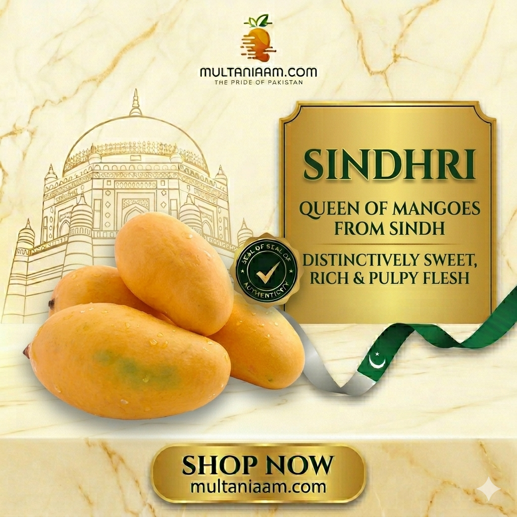 Sindhri (سندھڑی)