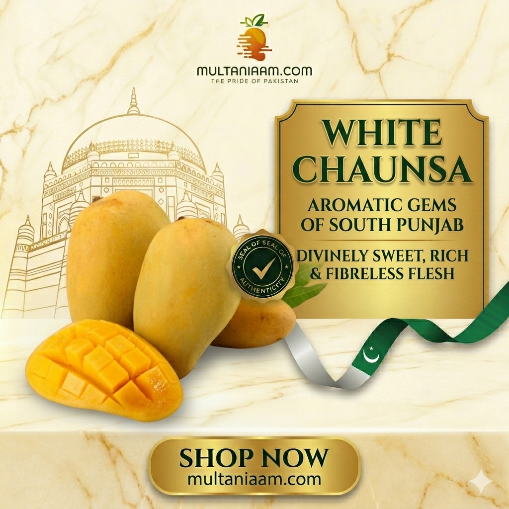 White Chaunsa (سفید چونسہ)