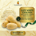 Late White Chaunsa (لیٹ سفید چونسہ)